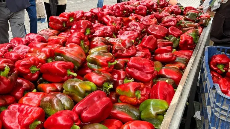 Feria del Pimiento en Benavente_9