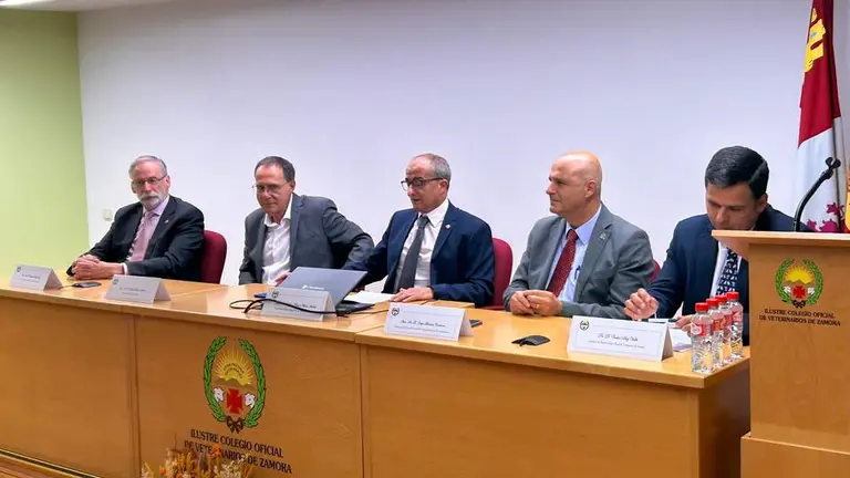 Imagen de WhatsApp 2024-10-04 a las 13.49.53_5f1110a7