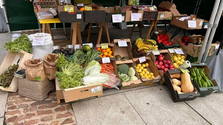 Imagen de WhatsApp 2024-10-19 a las 12.52.45_f5d5d2ef