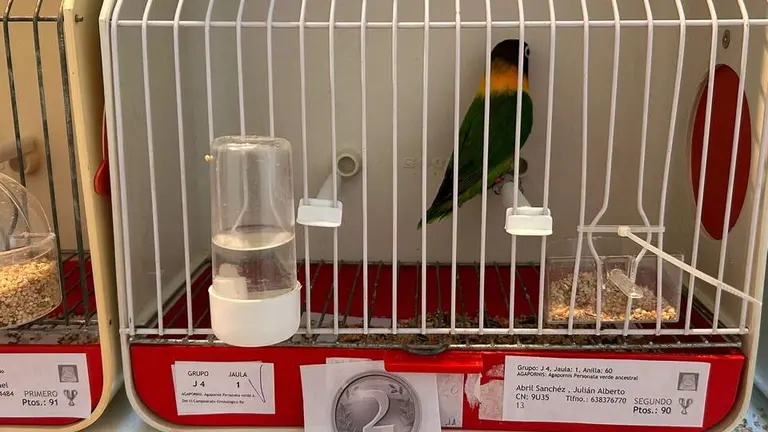 clausura del XLIII Concurso-Exposici&oacute;n Ornitol&oacute;gico