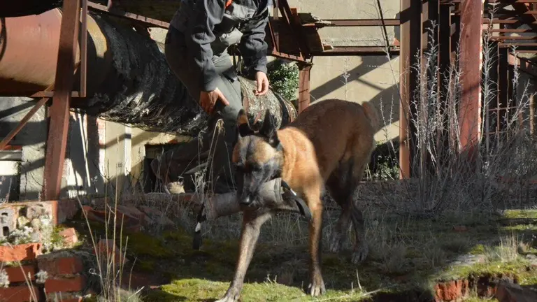 acción norte_158 - copia