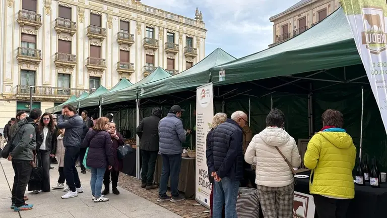 Mercado Ecologico Zamora_3