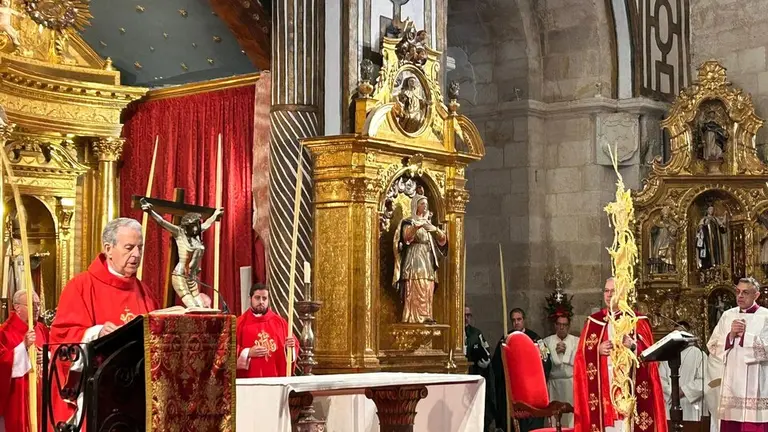 La celebración del Domingo de Ramos arranca en Zamora con la tradicional bendición de palmas