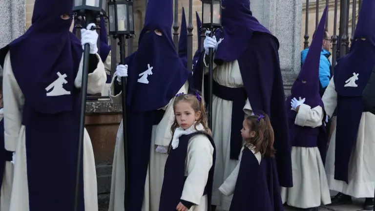 Cofradía de Jesús del Vía Crucis