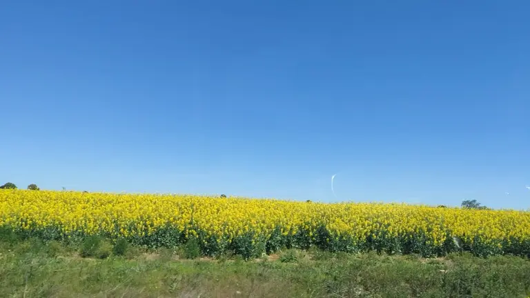 apagón pero no en el campo