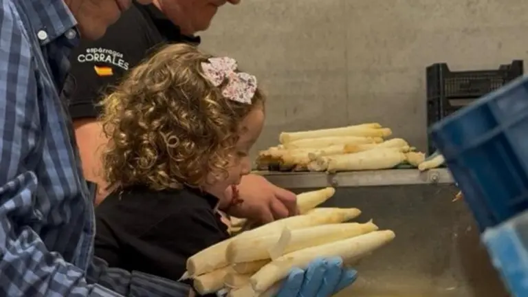 espárragos Corrales. IMAGEN CEDIDA  (11)