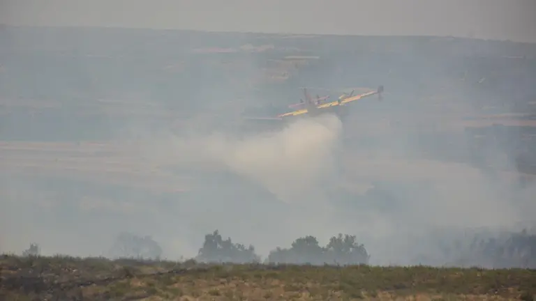 fuego puercas vegalatrave losacio_163