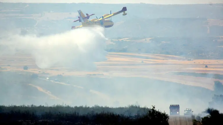 portadas fuego puercas 1