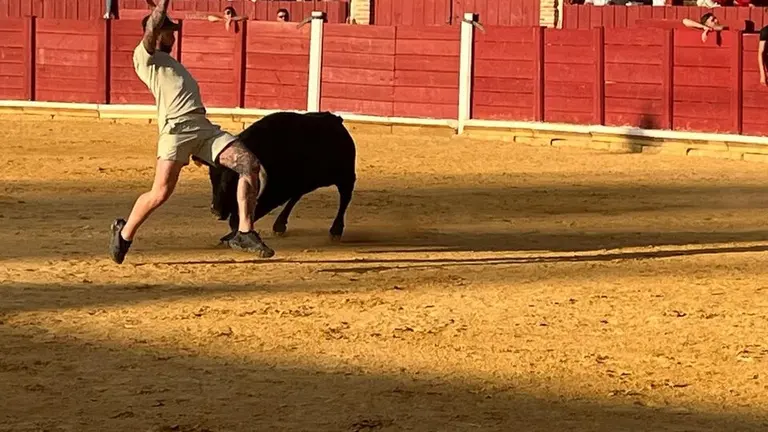 Fuente del Vino Toro _30