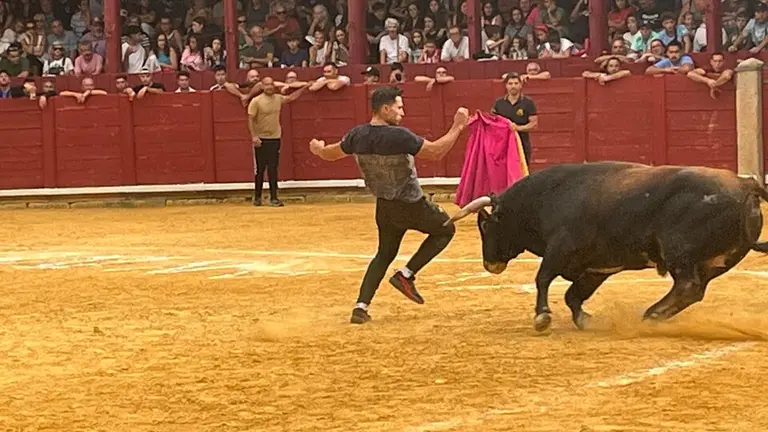 Toro del Cajón solidario: emoción, tradición y plaza llena por una buena causa