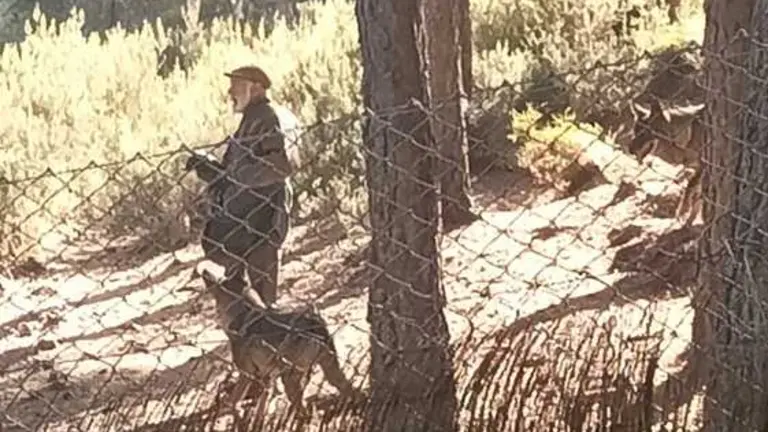 Lobo con su cuidador en Robledo