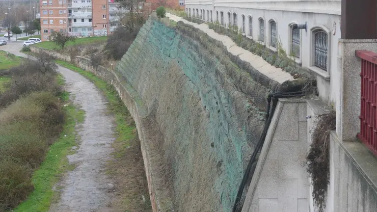 Muro verde La Aldehuela