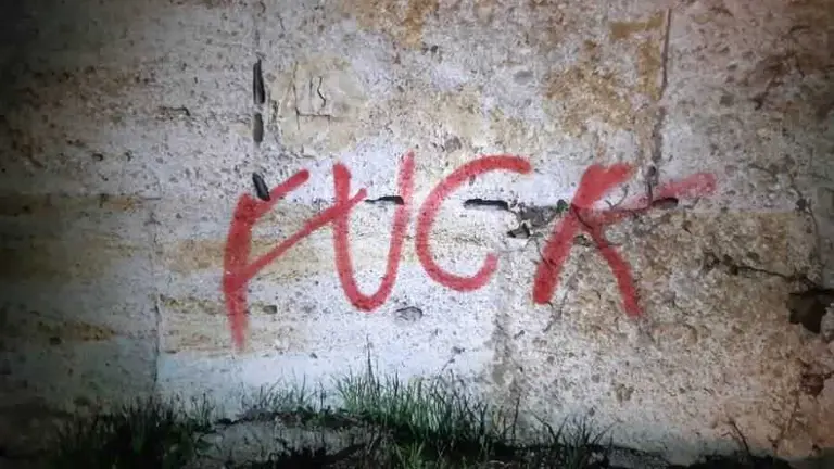 Pintadas en la muralla Zamora (2)