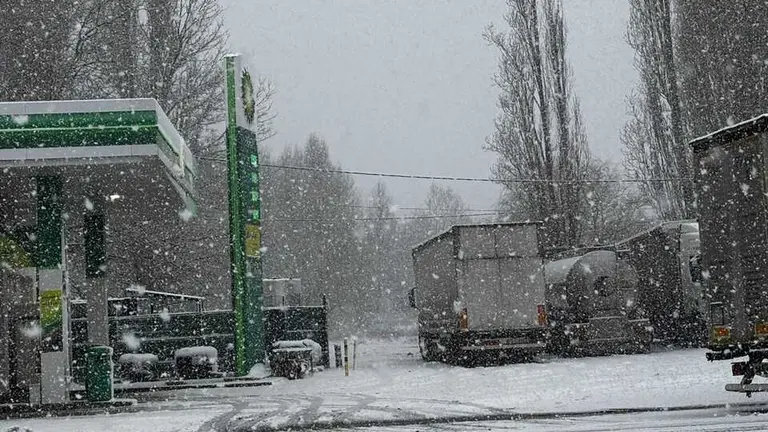 camiones embolsamiento _6