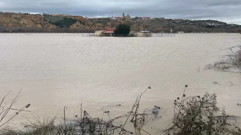 Duero desbordado en Toro _5