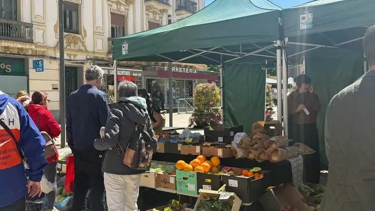 mercado ecol&oacute;gico _21