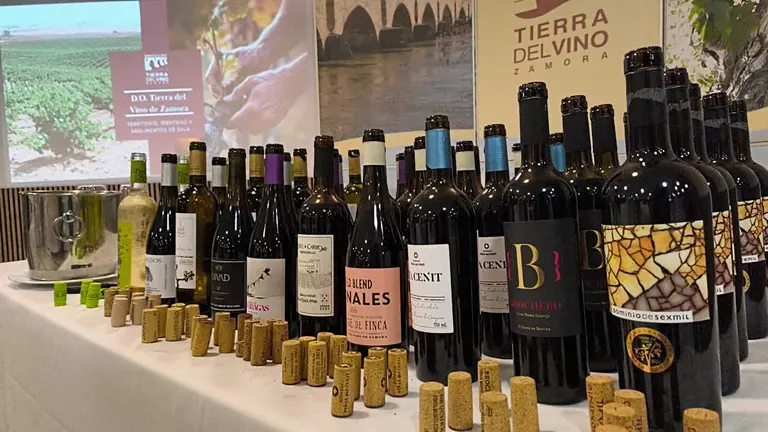Vinos DO Tierra del Vino