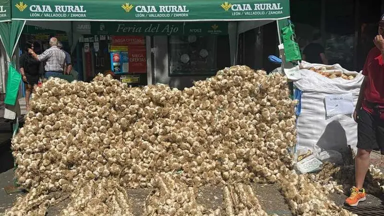 feria del ajo de Zamora 2026_4