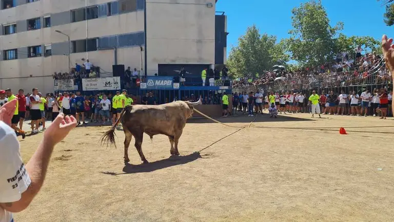 XI Congreso Nacional de Toro con Cuerda- Toro Enmaromado