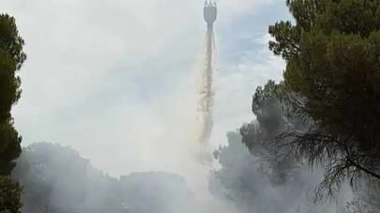 Incendio forestal Villalpando _10