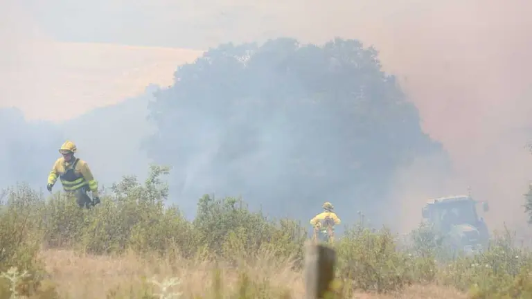 Incendio en El Perdig&oacute;n _18