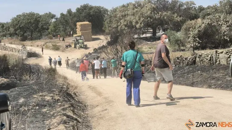 incendio M&aacute;moles en Fermoselle _11