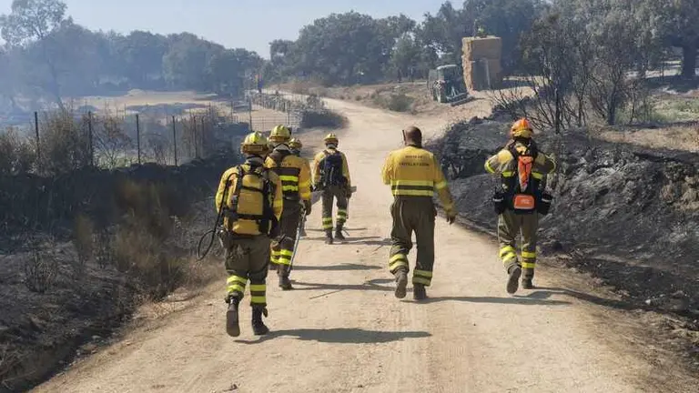 incendio M&aacute;moles en Fermoselle _15