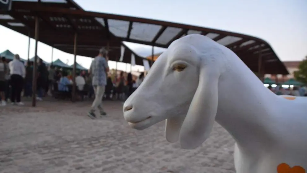 Ambiente FromagoCheeseExperience_58