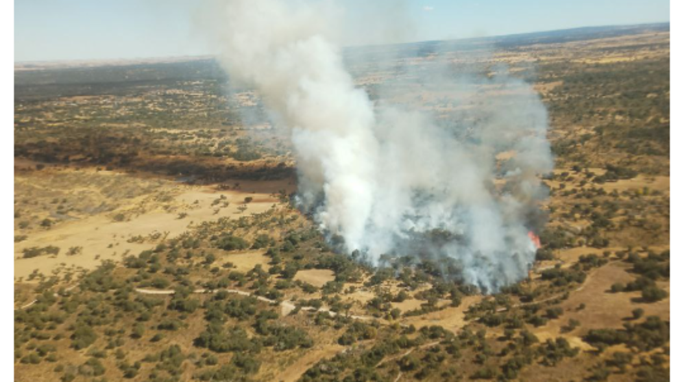 incendio Abel&oacute;n. imagen de archivo