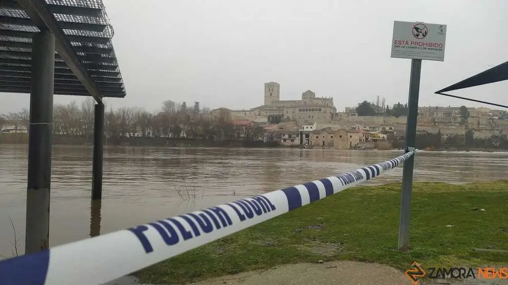  El Duero inunda ace&ntilde;as y paseos a su paso por Zamora_39