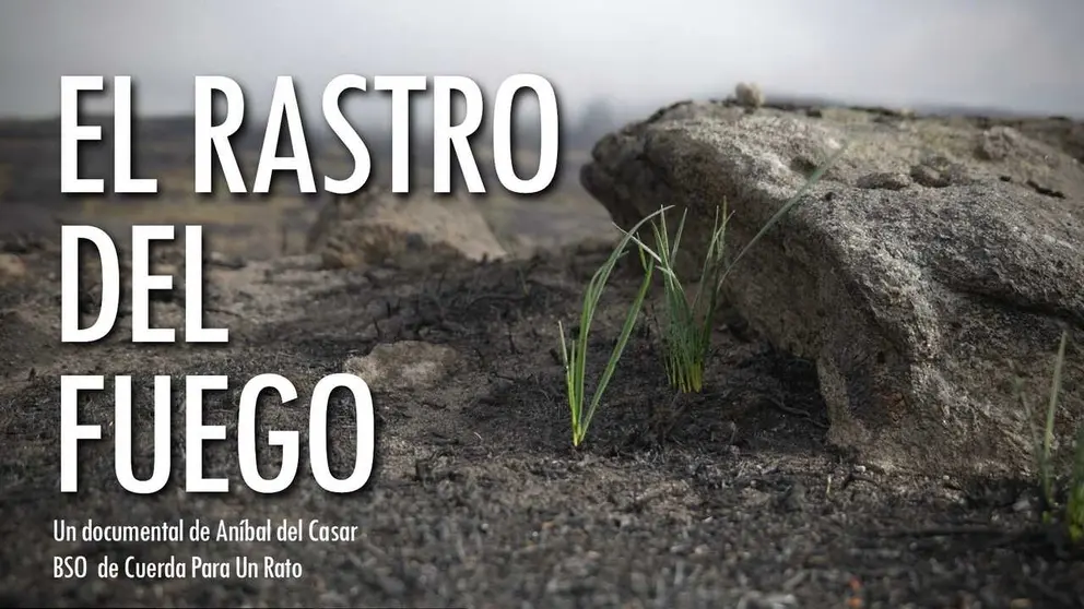 Imagen de uno de los documentales