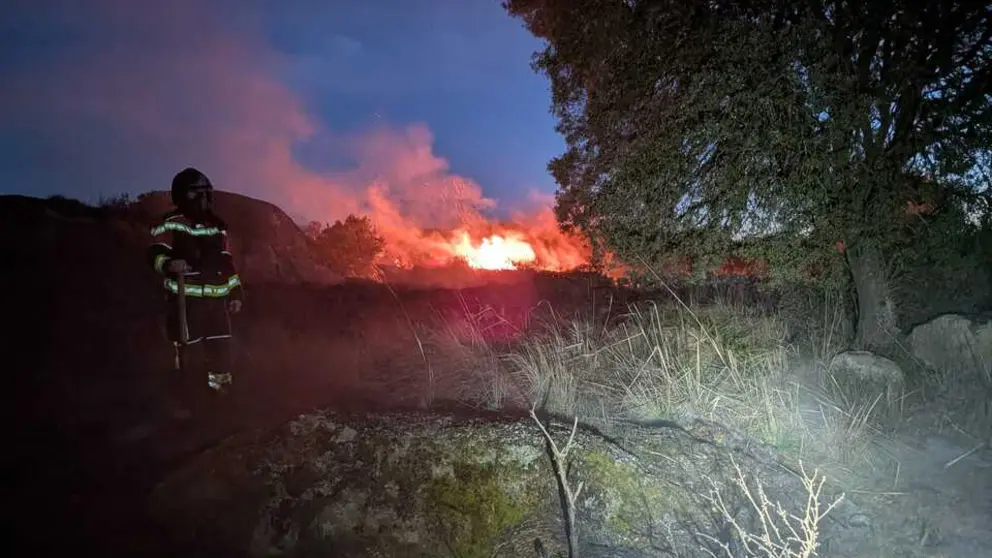 Incendio vegetaci&oacute;n Comarca de Sayago