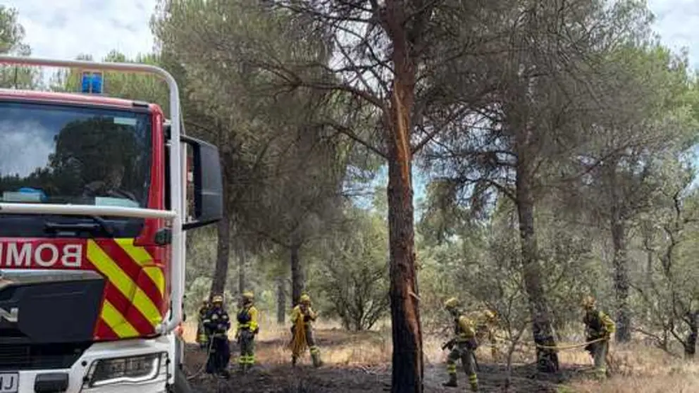 Incendio forestal Villalpando _9