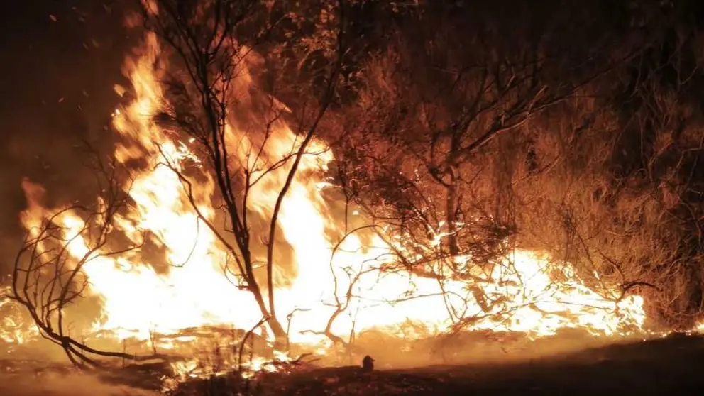 fuego r&aacute;bano de aliste_16