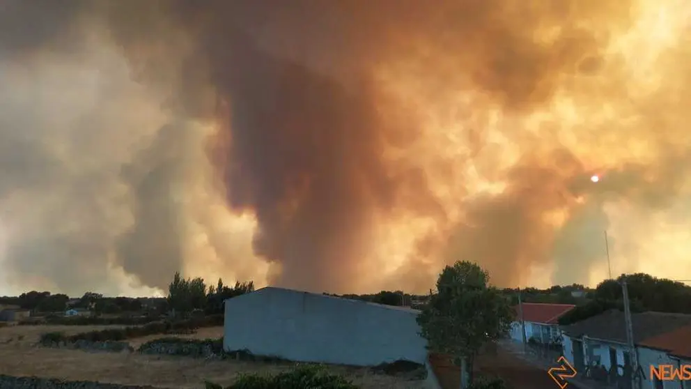 FERMOSELLE FUEGO SAYAGO _54