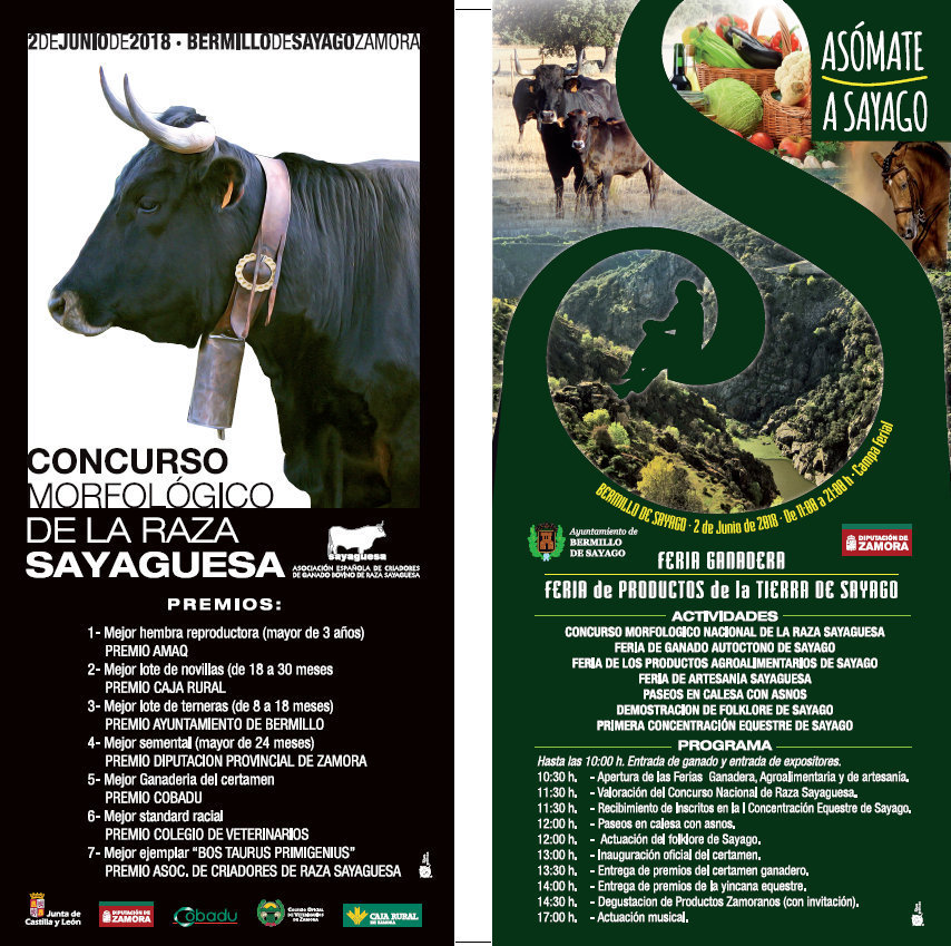 Flyer_Feria_Bermillo_2018_PROGRAMA.jpg