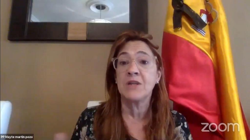 Mayte_Martín_Pozo_12_de_mayo_pleno.jpg