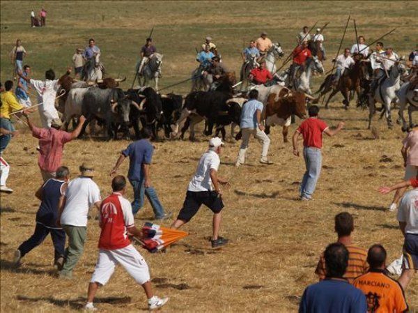 Los festejos taurinos muy populares en la Guareña