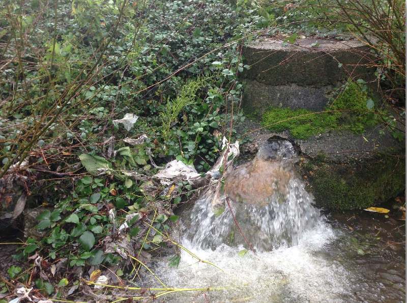 Una de las arquetas rotas por la que se vierten aguas residuales al lago.