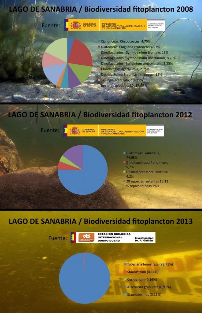 Comparativa del estado de las aguas desde 2008 hasta la actualidad