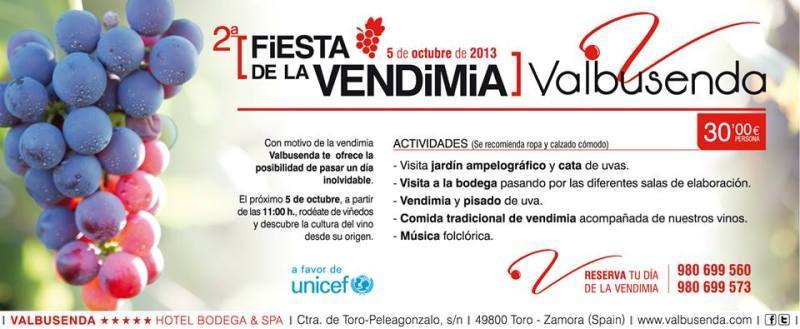 2ª Fiesta de la vendimia