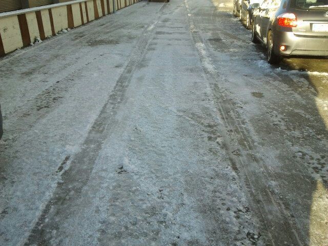 Estado de la calzada de Puebla