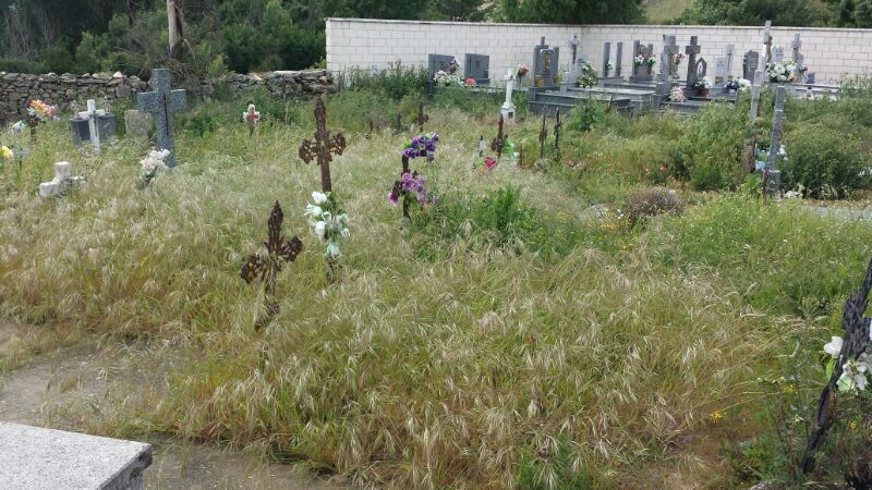 Aspecto del cementerio