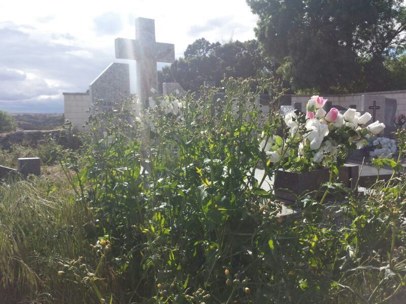 Los vecinos se quejan del abandono