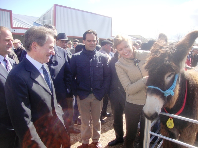 Las autoridades junto a uno de los ejemplares de asnal zamoranoleonés.