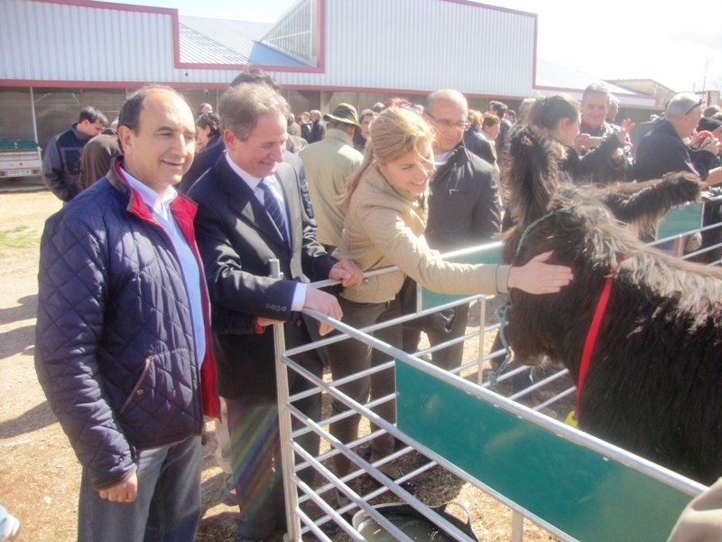 Las autoridades junto a uno de los ejemplares de asnal zamoranoleonés.
