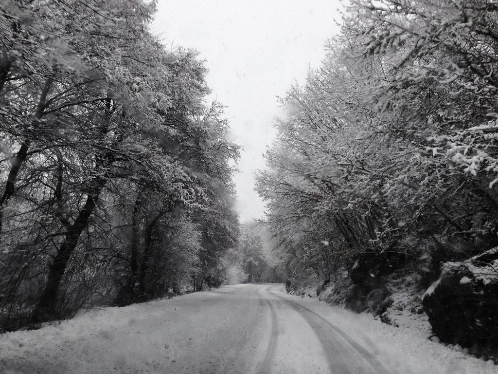 Aspecto que presenta la carretera que conduce al Lago de Sanabria. (Foto:Quatrofotografía)