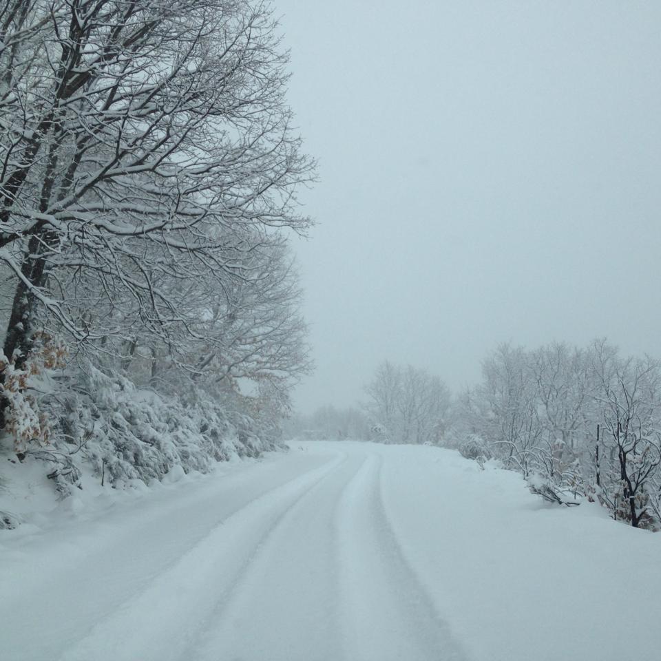 La carretera a Peces es intransitable en ambos sentidos. (Foto:RadarZamora)