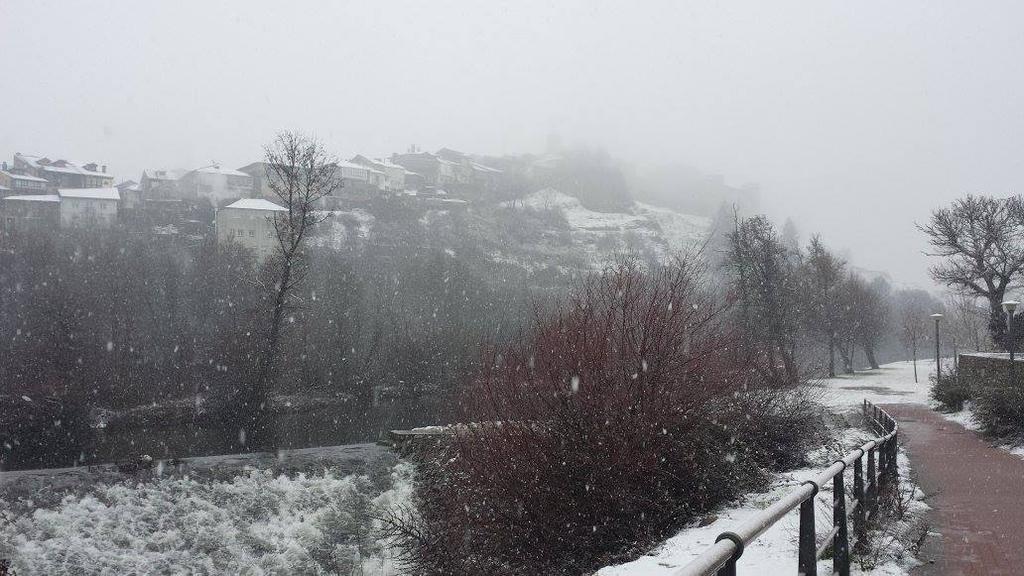 La nieve comenzó a caer en Puebla a las 5 de la madrugada. (Foto:RadarZamora)