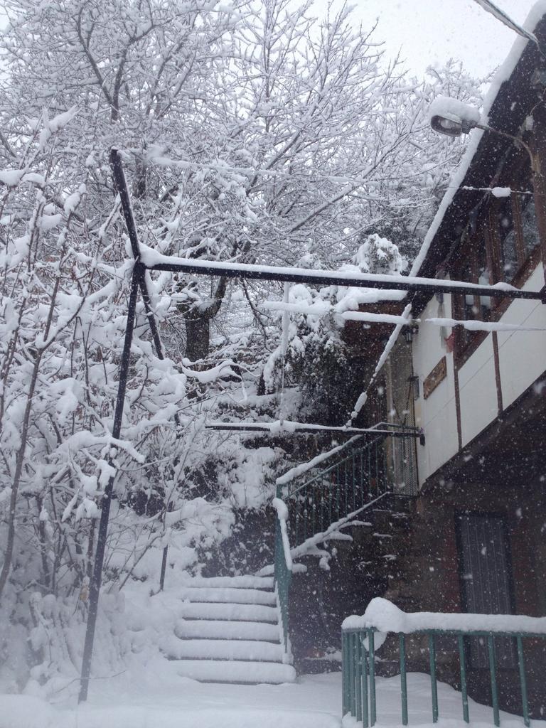 La nieve ha teñido de blanco la comarca de Sanabria. (Foto:R.Miguélez)